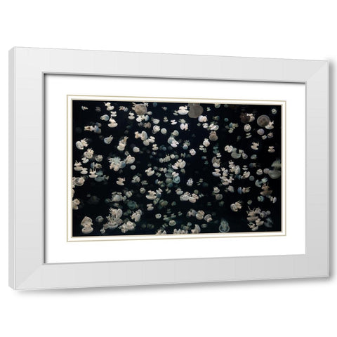 Just Some Jellies White Modern Wood Framed Art Print with Double Matting by Graf, Sebastian
