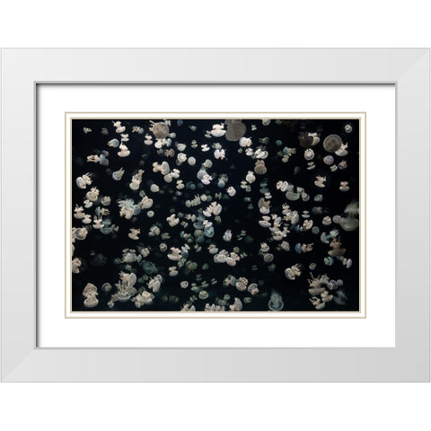 Just Some Jellies White Modern Wood Framed Art Print with Double Matting by Graf, Sebastian