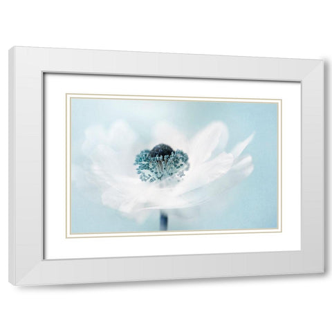 Candy Floss White Modern Wood Framed Art Print with Double Matting by Parker, Jacky