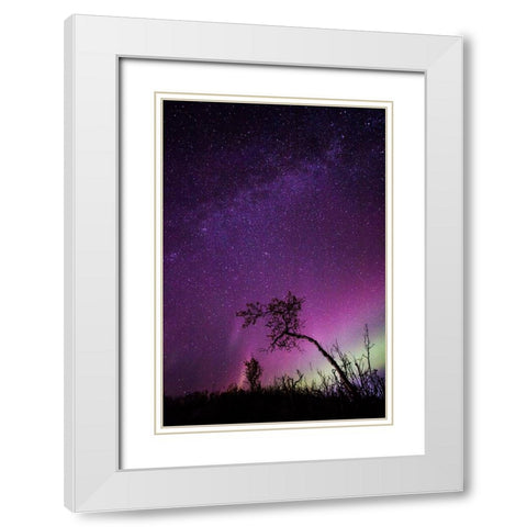 Under The Stars - 1 White Modern Wood Framed Art Print with Double Matting by Ifrim, Sorin