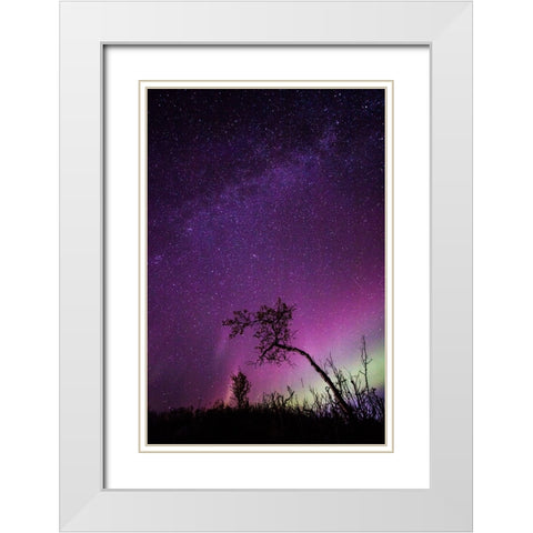 Under The Stars - 1 White Modern Wood Framed Art Print with Double Matting by Ifrim, Sorin