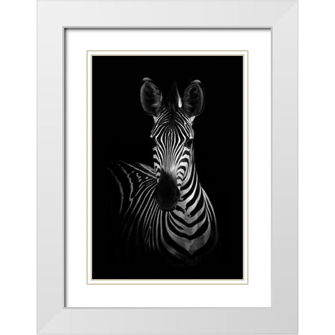 The Zebra White Modern Wood Framed Art Print with Double Matting by WildPhotoArt