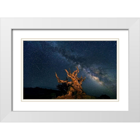 The Galaxy And Ancient Bristlecone Pine White Modern Wood Framed Art Print with Double Matting by Hua