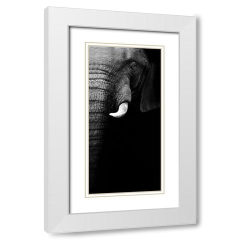 Elephant Portrait White Modern Wood Framed Art Print with Double Matting by Wildphotoart