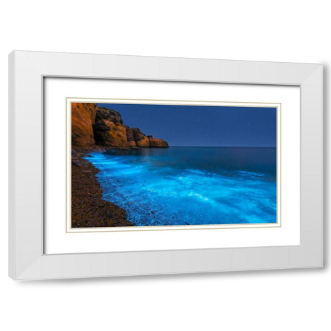 Bioluminescent Bay White Modern Wood Framed Art Print with Double Matting by Zhu, Hua