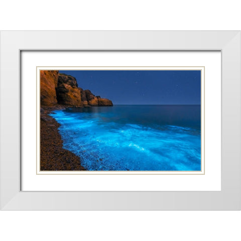 Bioluminescent Bay White Modern Wood Framed Art Print with Double Matting by Zhu, Hua