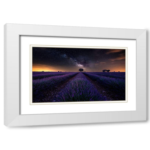 Fields Of Castilla White Modern Wood Framed Art Print with Double Matting by Ruiz Dueso, Jorge