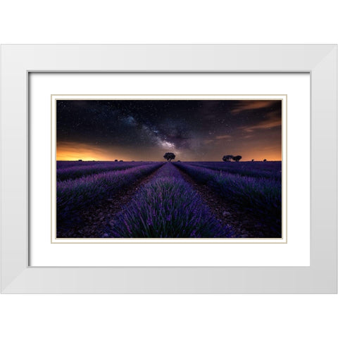 Fields Of Castilla White Modern Wood Framed Art Print with Double Matting by Ruiz Dueso, Jorge