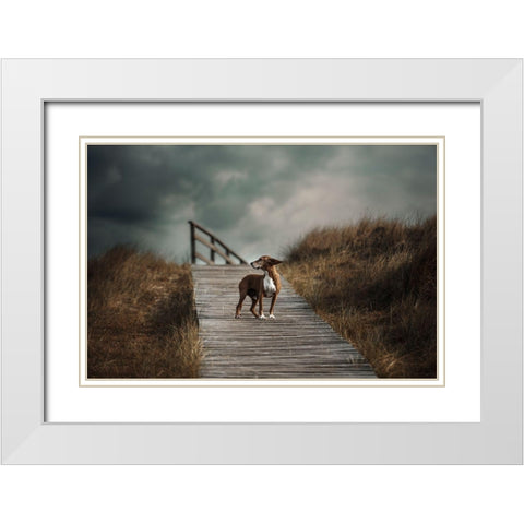 The Summer Wind Came Blowin In From Across The Seaa?B. (Frank Sinatra) White Modern Wood Framed Art Print with Double Matting by Willers, Heike