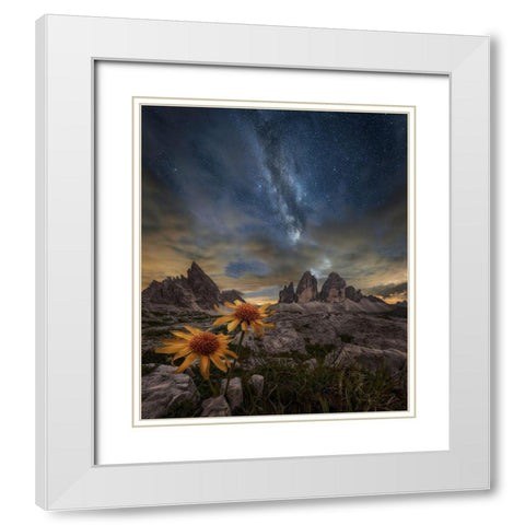 Even The Flowers Seem To Be Fascinated By The Stars White Modern Wood Framed Art Print with Double Matting by Ghizzi Panizza, Alberto