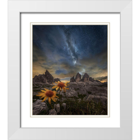 Even The Flowers Seem To Be Fascinated By The Stars White Modern Wood Framed Art Print with Double Matting by Ghizzi Panizza, Alberto