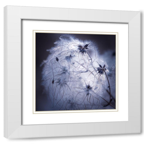 Network White Modern Wood Framed Art Print with Double Matting by Menhard, Ingo