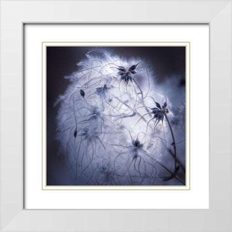 Network White Modern Wood Framed Art Print with Double Matting by Menhard, Ingo