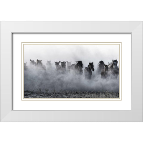 Mustangs White Modern Wood Framed Art Print with Double Matting by Pancareken, Yavuz