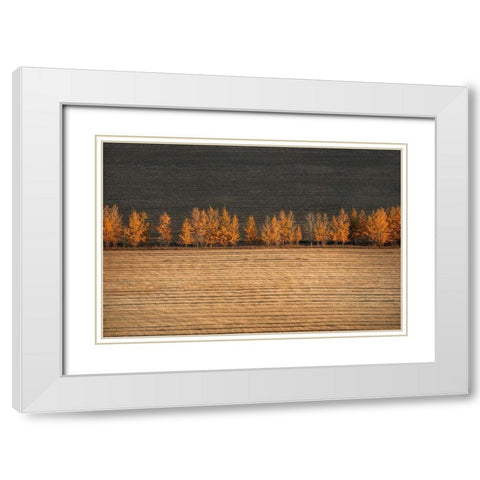 Autumn Colors White Modern Wood Framed Art Print with Double Matting by Tianqi