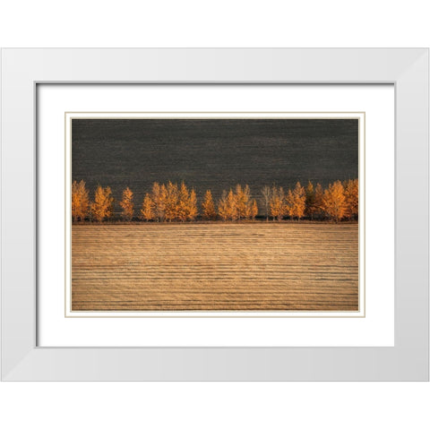 Autumn Colors White Modern Wood Framed Art Print with Double Matting by Tianqi