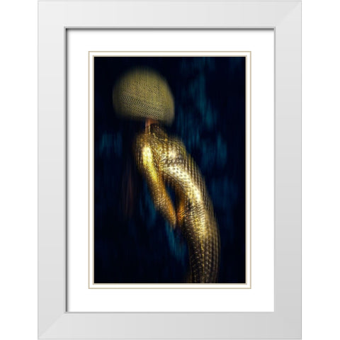 Anti-Gravity White Modern Wood Framed Art Print with Double Matting by Bolgov, Ruslan