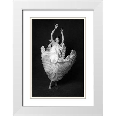 Swan Lake White Modern Wood Framed Art Print with Double Matting by Naderi, Peyman