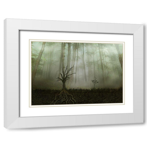 Root 1 White Modern Wood Framed Art Print with Double Matting by Golchin, Aryana
