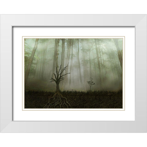 Root 1 White Modern Wood Framed Art Print with Double Matting by Golchin, Aryana