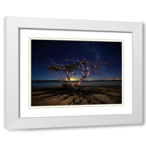 The Tree White Modern Wood Framed Art Print with Double Matting by Brackstone, Mel