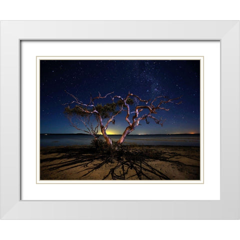 The Tree White Modern Wood Framed Art Print with Double Matting by Brackstone, Mel