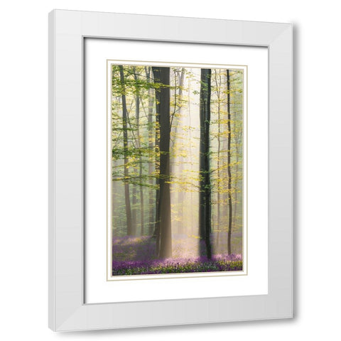 Misty Sunrise In Hallerbos White Modern Wood Framed Art Print with Double Matting by VLAICU, Denisa