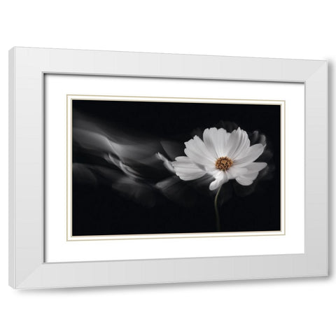 Symphony White White Modern Wood Framed Art Print with Double Matting by Karpova, Inna