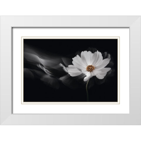 Symphony White White Modern Wood Framed Art Print with Double Matting by Karpova, Inna
