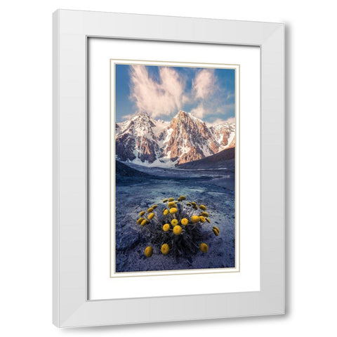 Snow Mountain Camomile A??Accappc??EÂ?A?? White Modern Wood Framed Art Print with Double Matting by Qiye