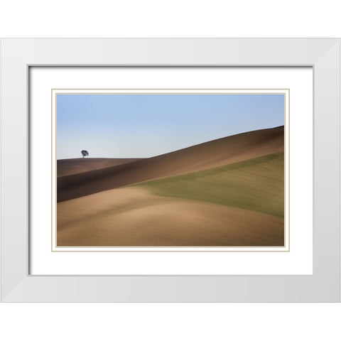 S.T. 009 White Modern Wood Framed Art Print with Double Matting by Gray, Dorian