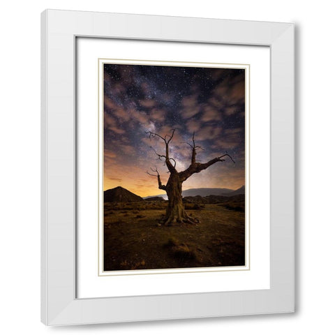 Lonely White Modern Wood Framed Art Print with Double Matting by Ionut Dascalu, Andrei