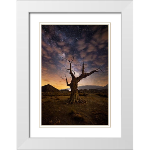 Lonely White Modern Wood Framed Art Print with Double Matting by Ionut Dascalu, Andrei