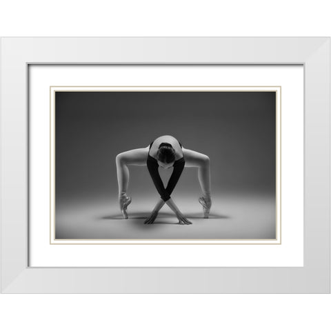 Elegant White Modern Wood Framed Art Print with Double Matting by Li, Rob