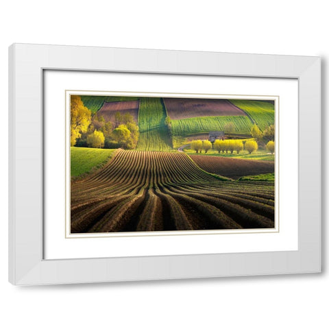 Shape White Modern Wood Framed Art Print with Double Matting by Nienartowicz, Karol