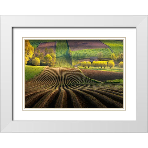Shape White Modern Wood Framed Art Print with Double Matting by Nienartowicz, Karol