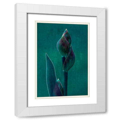Blue Charade. White Modern Wood Framed Art Print with Double Matting by Hamilton, Chris