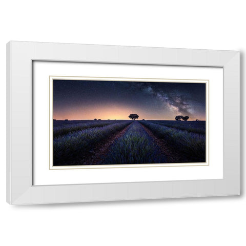 Lavender Fields White Modern Wood Framed Art Print with Double Matting by Ruiz Dueso, Jorge