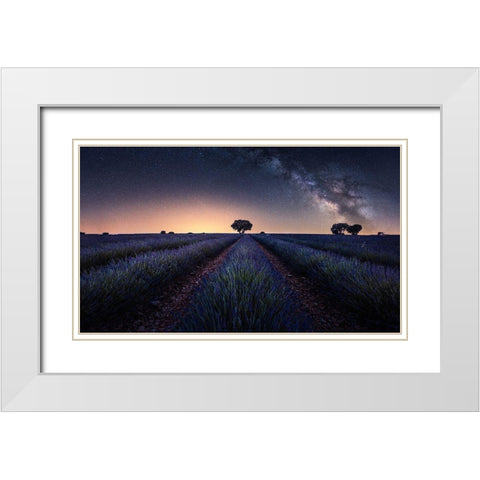 Lavender Fields White Modern Wood Framed Art Print with Double Matting by Ruiz Dueso, Jorge