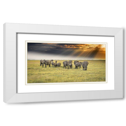 For The Love Of Elephants White Modern Wood Framed Art Print with Double Matting by C. Sink, Jeffrey