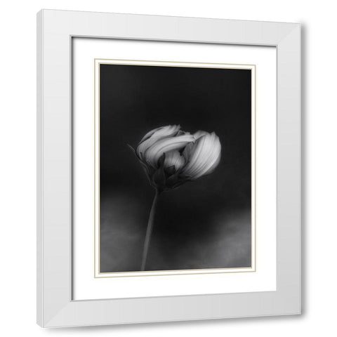 Cosmos White Modern Wood Framed Art Print with Double Matting by Gronkjar, Lotte