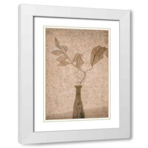 Still Life White Modern Wood Framed Art Print with Double Matting by Tokarev, Igor