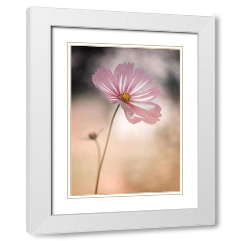 Cosmos White Modern Wood Framed Art Print with Double Matting by Gronkjar, Lotte