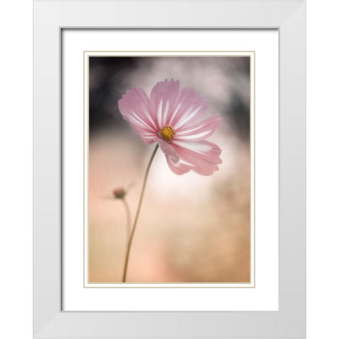 Cosmos White Modern Wood Framed Art Print with Double Matting by Gronkjar, Lotte