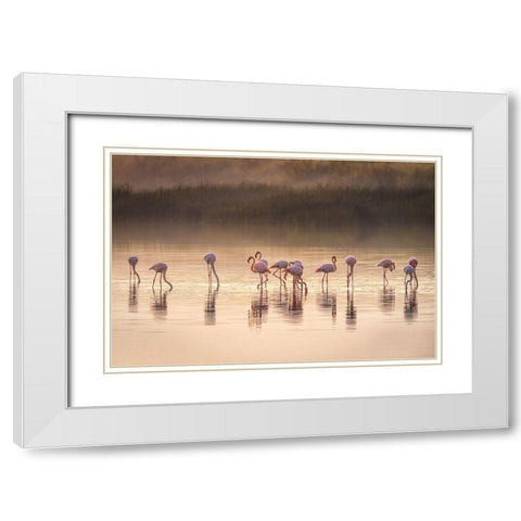 Photographic Ode To Monet White Modern Wood Framed Art Print with Double Matting by C. Sink, Jeffrey