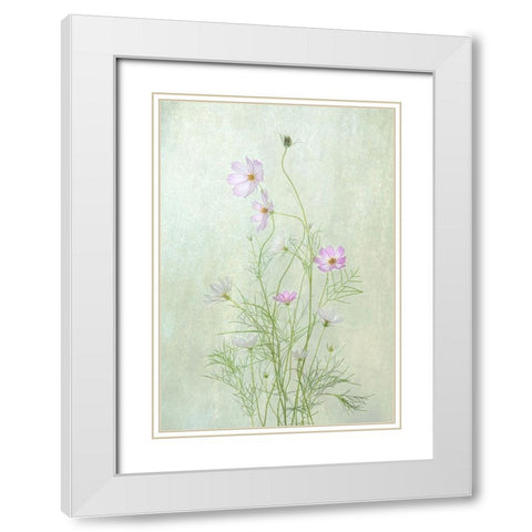 Cosmos White Modern Wood Framed Art Print with Double Matting by W., Catherine