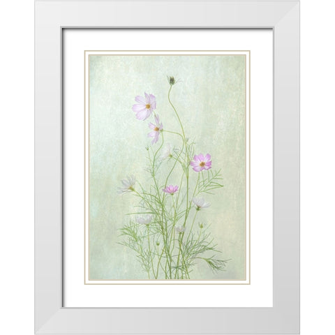 Cosmos White Modern Wood Framed Art Print with Double Matting by W., Catherine