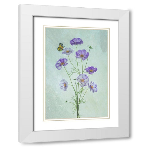 Elegant Cosmos Flowers White Modern Wood Framed Art Print with Double Matting by Jacobs, Lydia