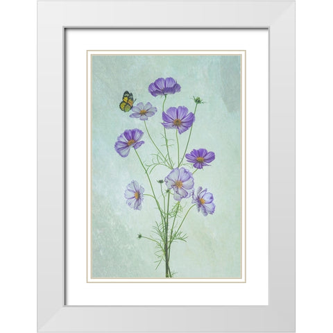 Elegant Cosmos Flowers White Modern Wood Framed Art Print with Double Matting by Jacobs, Lydia
