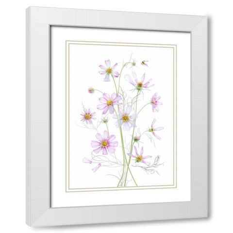 Cosmos White Modern Wood Framed Art Print with Double Matting by Zhou, Fangping